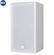 Loa RCF M 501 3